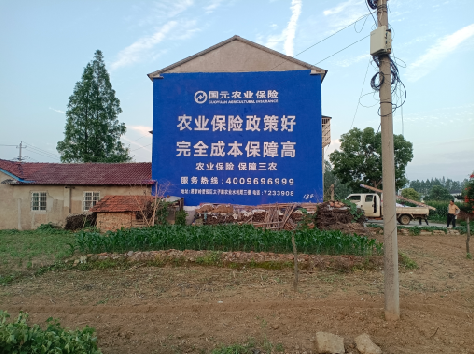 凉山墙体广告的优劣势你知道吗？